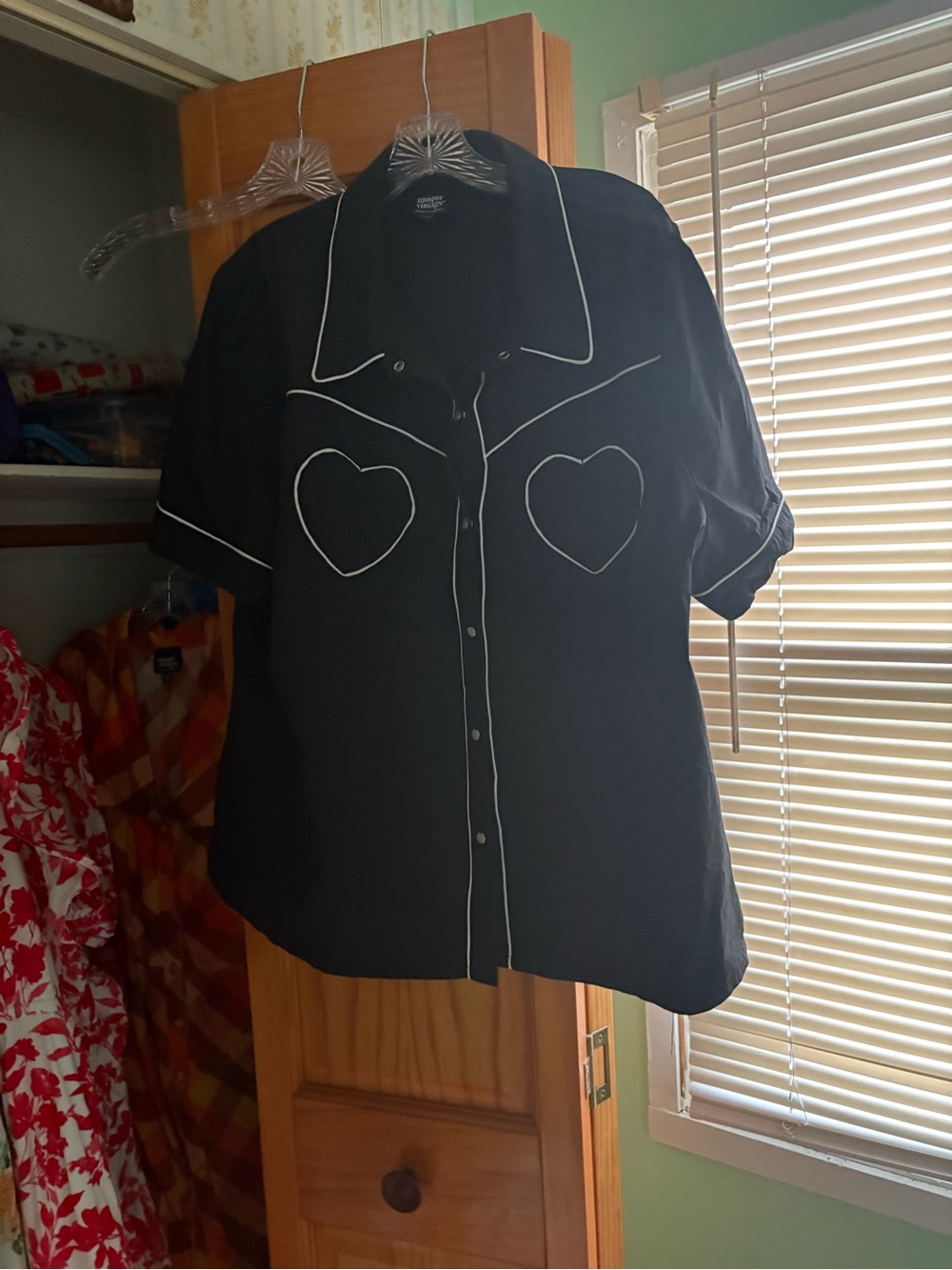 Lot of 2 western shirts